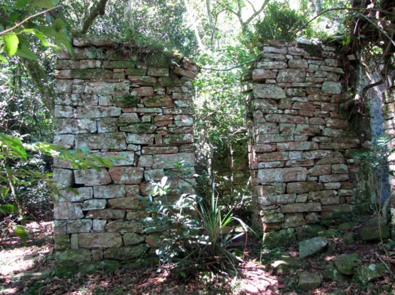 Illustration for article titled A Secret Nazi Hideout May Have Been Discovered In An Argentine Jungle